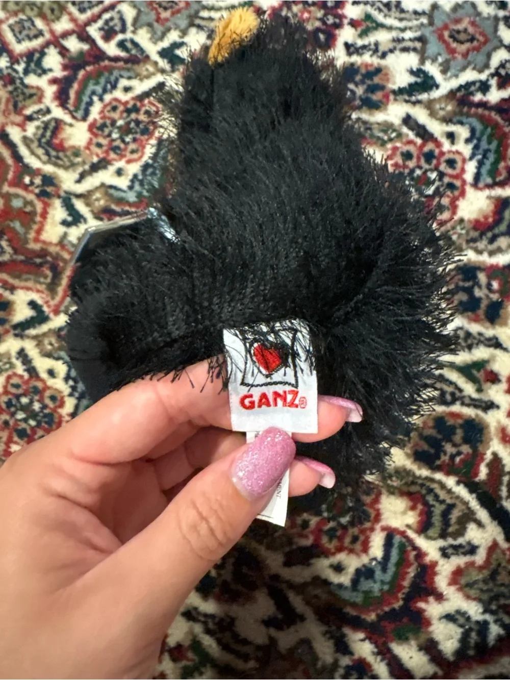 Webkinz Black bear
